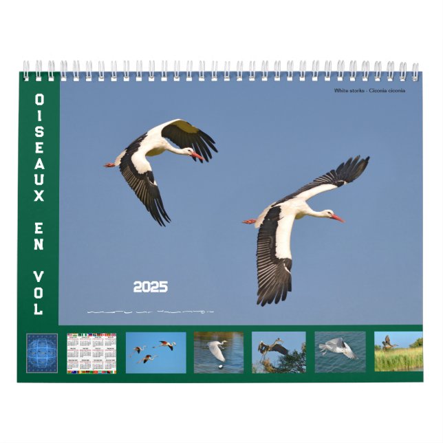 Oiseaux en vol 12 mois calendrier (Protection)
