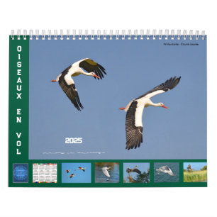 Oiseaux en vol 12 mois calendrier