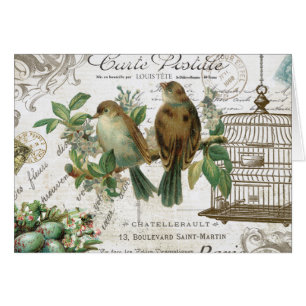 Oiseaux et cage à oiseaux français vintages