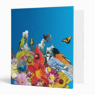 oiseaux et classeur de papillons