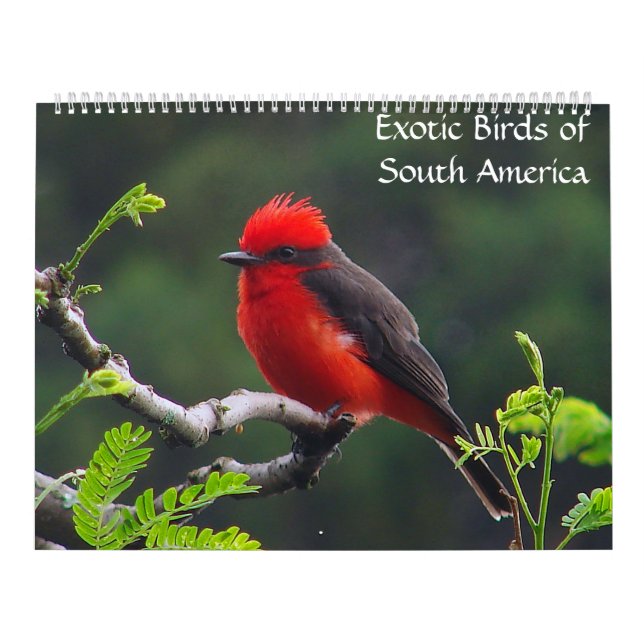 Oiseaux exotiques de calendrier de l'Amérique du (Protection)