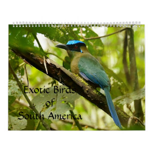 Oiseaux exotiques du calendrier 2014 de l'Amérique