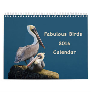 Oiseaux fabuleux calendrier de 12 mois