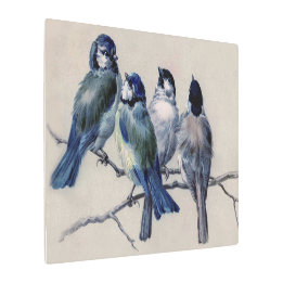 Oiseaux gris bleu sur une branche Aquarelle Beaux-