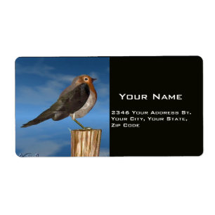 OISEAUX HYPER / ROBIN BREAST ROUGE