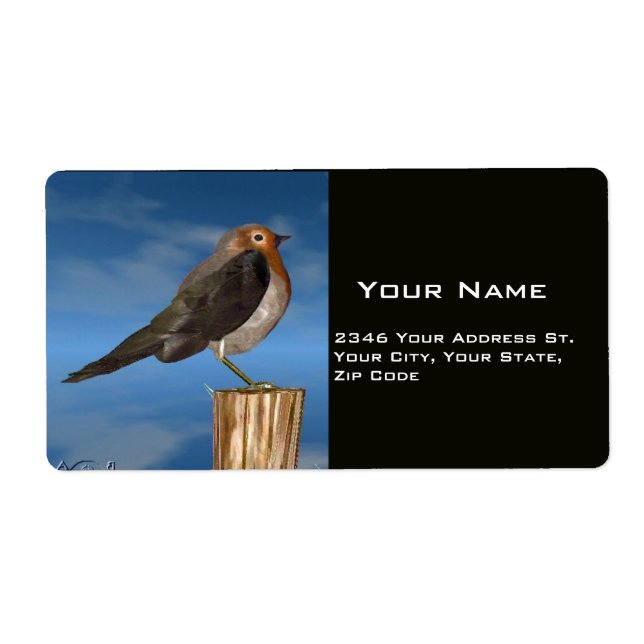 OISEAUX HYPER / ROBIN BREAST ROUGE (Devant)
