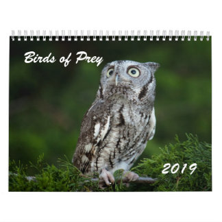 Oiseaux impressionnants du calendrier 2019 de