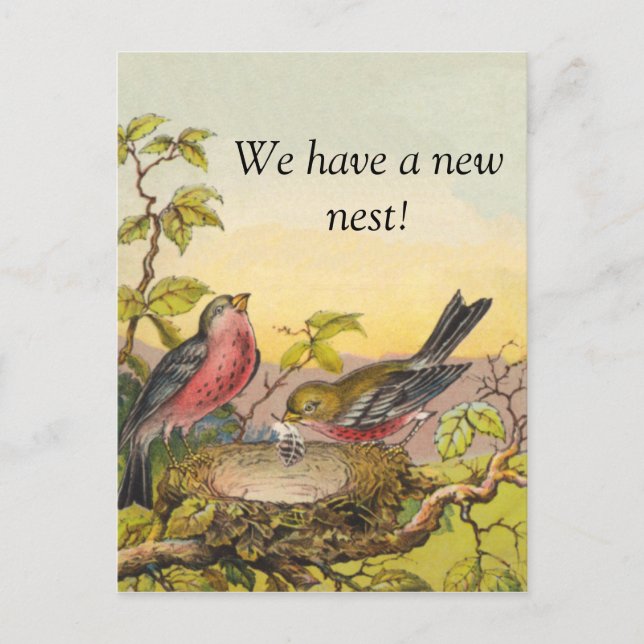 Oiseaux nicheurs Carte postale Nouvelle Adresse (Devant)
