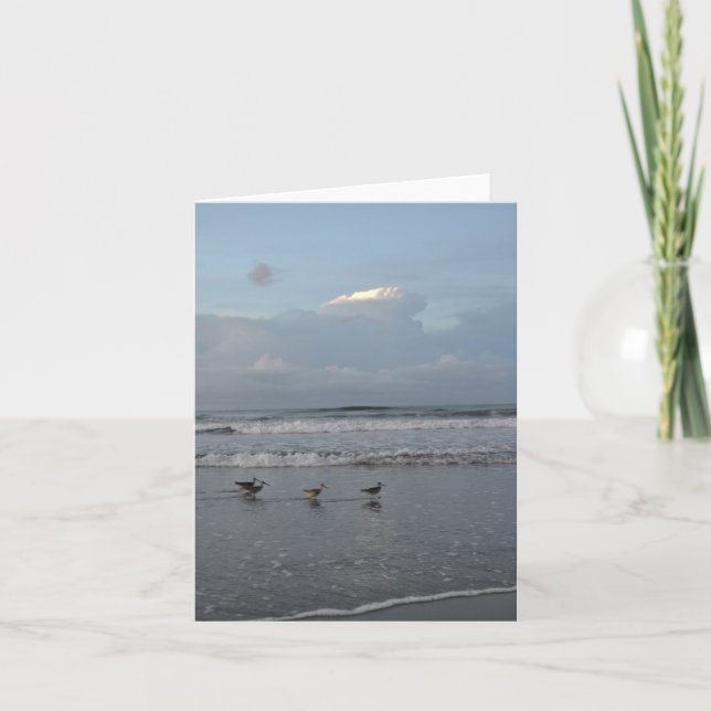 Oiseaux occupés sur la carte de note de plage (Devant)
