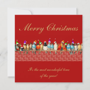 Oiseaux portant des chapeaux de Père Noël Carte de