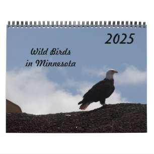 Oiseaux sauvages du Minnesota Calendrier 2025