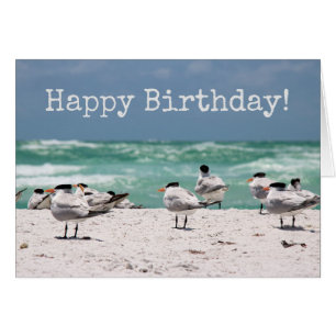 Oiseaux sur la plage Anniversaire