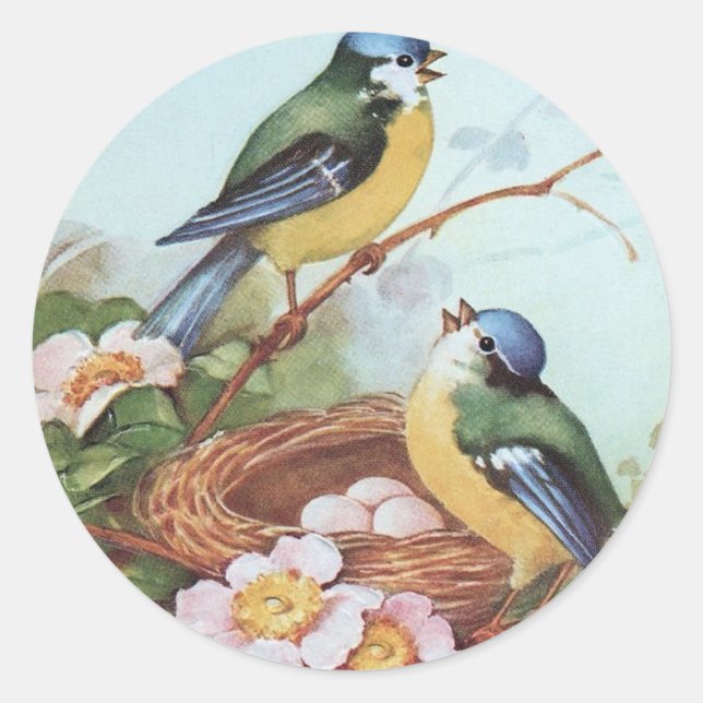 Oiseaux sur un nid - Sticker (Devant)