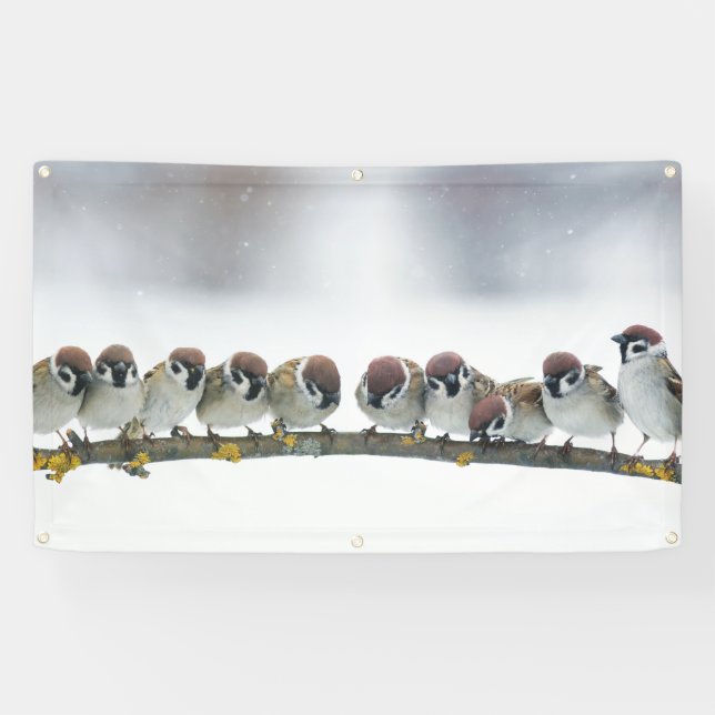 OISEAUX SUR une bannière de BRANCHE (Horizontal)