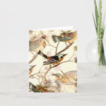 Oiseaux sur une branche