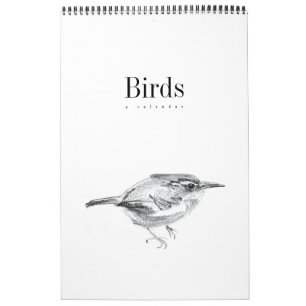 Oiseaux : Un calendrier