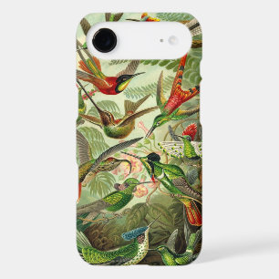 Oiseaux vintage Haeckel