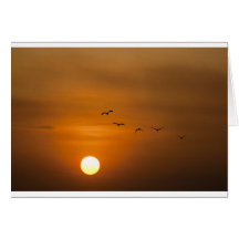 Oiseaux volant au coucher du soleil