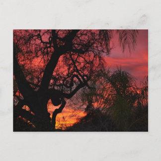 Ojai Sunset Postcard