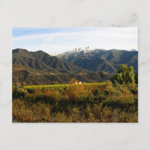 Ojai Valley With Snow Postcard