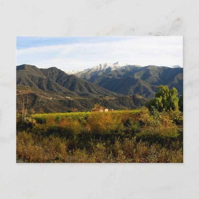 Ojai Valley With Snow Postcard (Front)