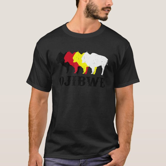 Ojibwe Anishinaabeg Ojibwa Native American Medicin T-Shirt (Front)