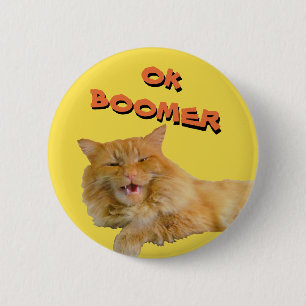 Ok Boomer Talking Cat Meme 2 Inch Round Button
