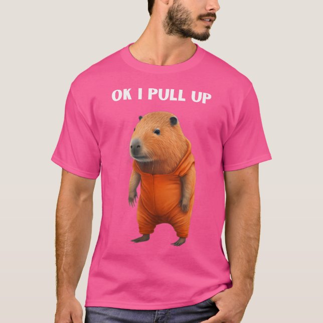 Ok I Pull Up Funny Capybara T-Shirt (Front)