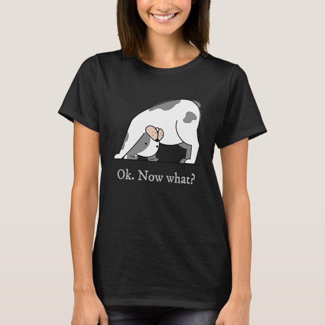 Ok Now What Yoga Downward Dog Workout T-Shirt (Front)