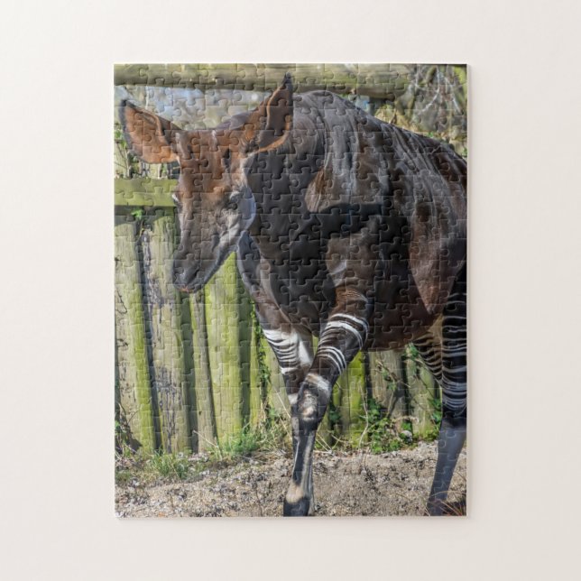 Okapi at the zoo puzzle (Vertical)