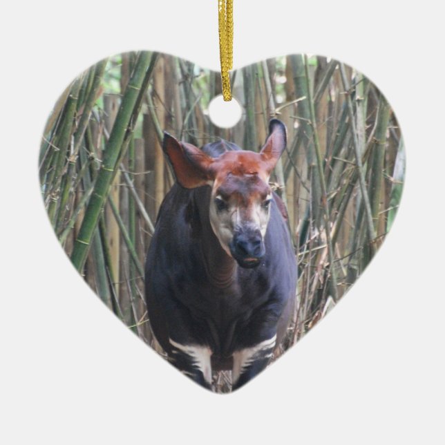 Okapi  Ornament (Front)