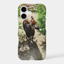 Okapi Phone Case (options available)