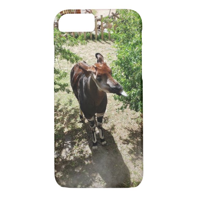 Okapi Phone Case (options available) (Back)