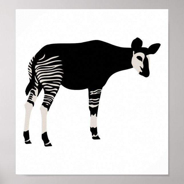 Okapi Poster (Front)