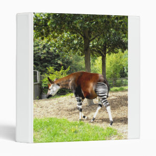 Okapi walking away binder