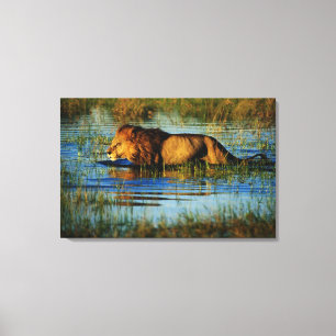 Okavango Delta, Botswana 3 Canvas Print