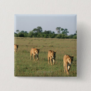 Okavango Delta, Botswana 4 2 Inch Square Button