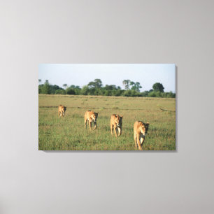 Okavango Delta, Botswana 4 Canvas Print