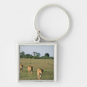Okavango Delta, Botswana 4 Keychain