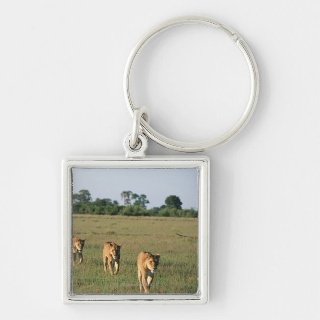 Okavango Delta, Botswana 4 Keychain (Front)