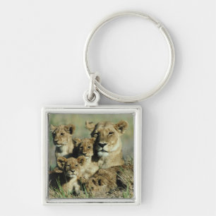 Okavango Delta, Botswana Keychain