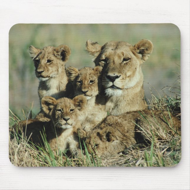 Okavango Delta, Botswana Mouse Pad (Front)