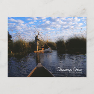 Okavango Delta Postcard