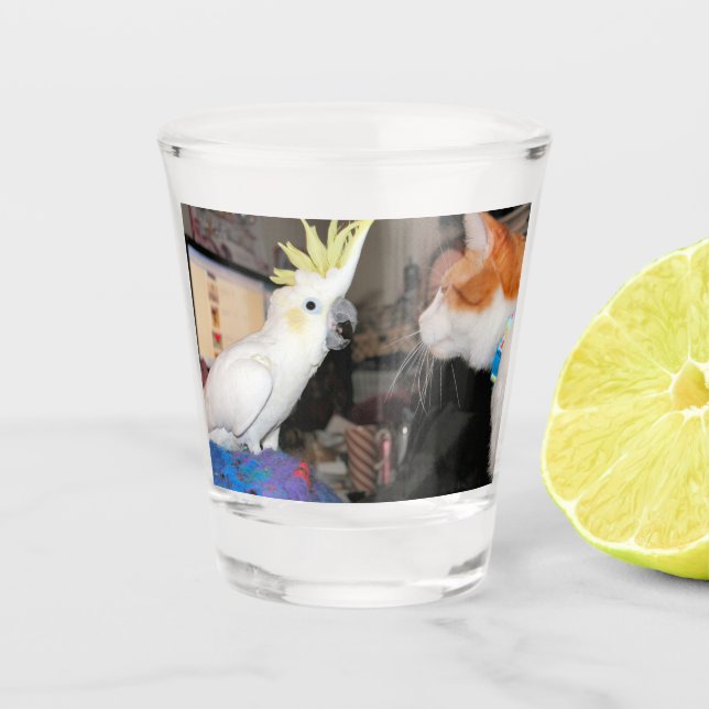 Okay...make myself look big shot glass (Front)