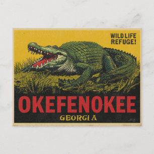 Okefenokee Swamp Alligator Georgia Postcard