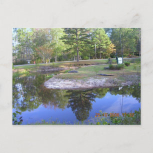 "OKEFENOKEE SWAMP PARK" POSTCARD