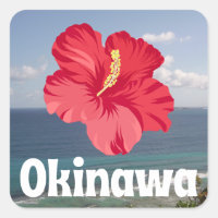 Okinawa Scenic View & Hibiscus Poster