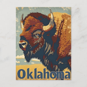 Oklahoma Bison Vintage Postcard