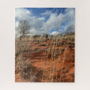Oklahoma Prairie Puzzle (Splitbeard and Sandstone)