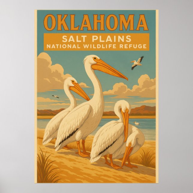 Oklahoma salt plains national wildlife refuge V01 Poster (Front)